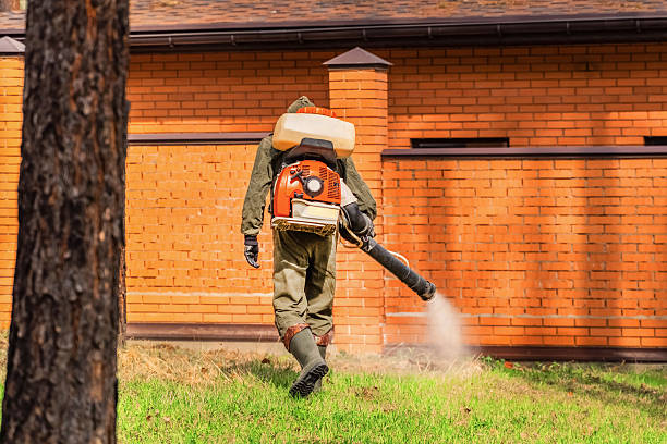 Top rated local Cockroach Control specialists in Edgerton, WI